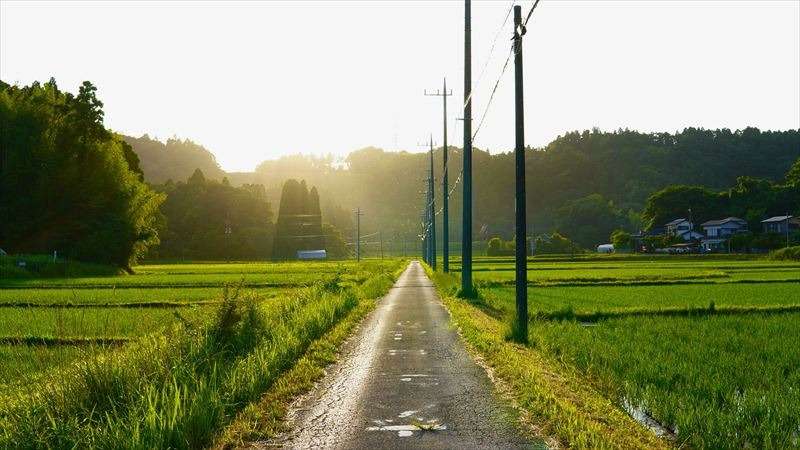 農地をスムーズに売却するには